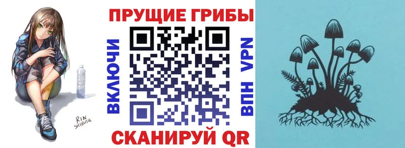 ОМГ ОМГ ONION  наркота  Избербаш  Псилоцибиновые грибы мухоморы 